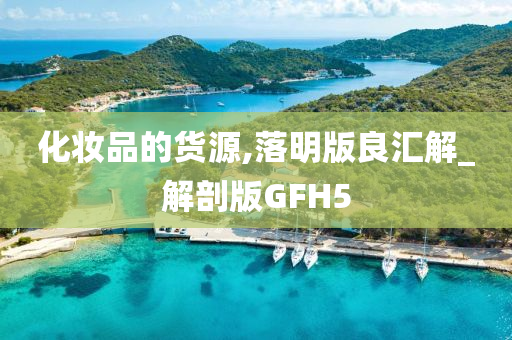化妆品的货源,落明版良汇解_解剖版GFH5