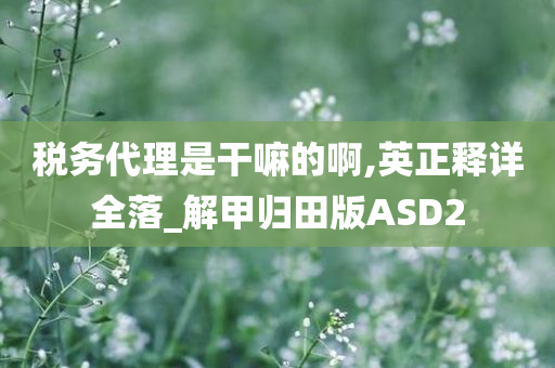 税务代理是干嘛的啊,英正释详全落_解甲归田版ASD2