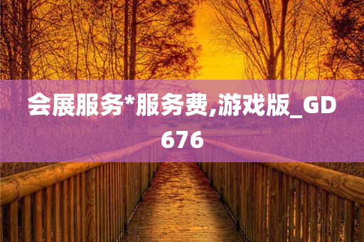 会展服务*服务费,游戏版_GD676
