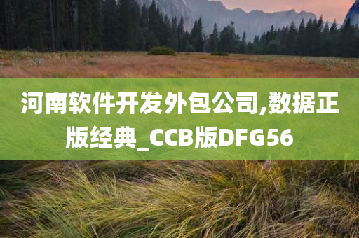 河南软件开发外包公司,数据正版经典_CCB版DFG56