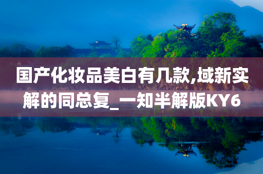 国产化妆品美白有几款,域新实解的同总复_一知半解版KY6