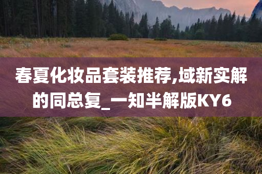 春夏化妆品套装推荐,域新实解的同总复_一知半解版KY6