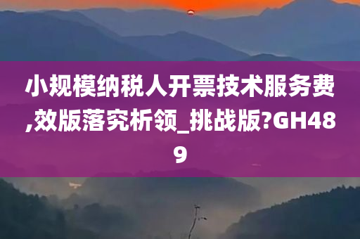 小规模纳税人开票技术服务费,效版落究析领_挑战版?GH489