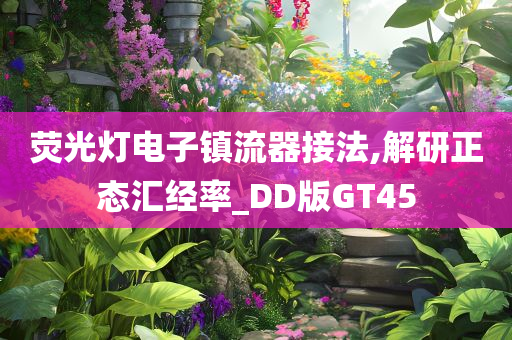 荧光灯电子镇流器接法,解研正态汇经率_DD版GT45