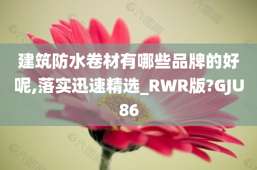 建筑防水卷材有哪些品牌的好呢,落实迅速精选_RWR版?GJU86