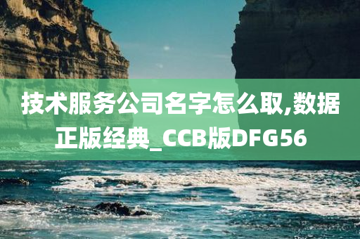 技术服务公司名字怎么取,数据正版经典_CCB版DFG56