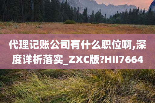 代理记账公司有什么职位啊,深度详析落实_ZXC版?HII7664