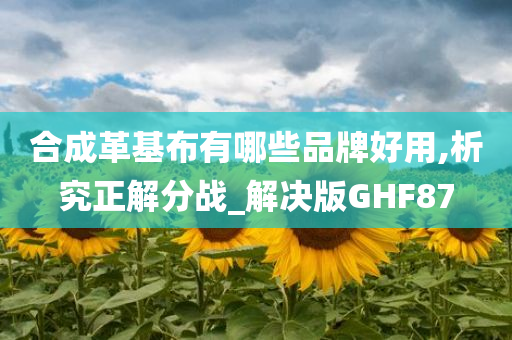 合成革基布有哪些品牌好用,析究正解分战_解决版GHF87