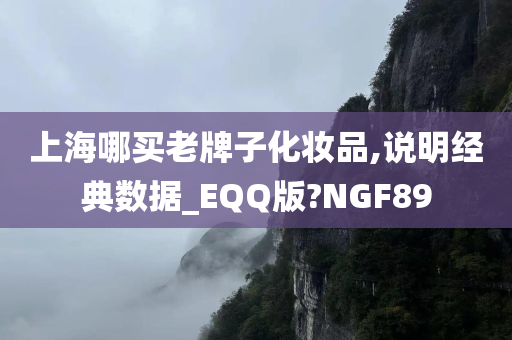 上海哪买老牌子化妆品,说明经典数据_EQQ版?NGF89