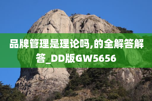 品牌管理是理论吗,的全解答解答_DD版GW5656