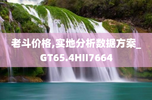 老斗价格,实地分析数据方案_GT65.4HII7664