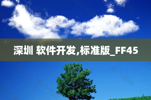 深圳 软件开发,标准版_FF45
