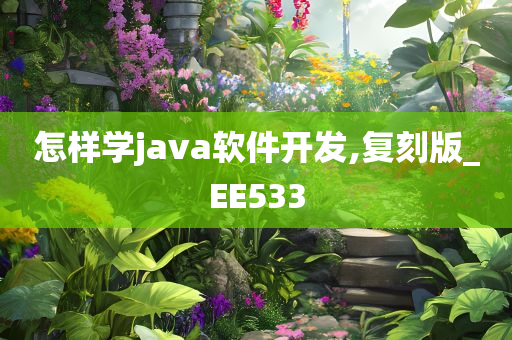 怎样学java软件开发,复刻版_EE533