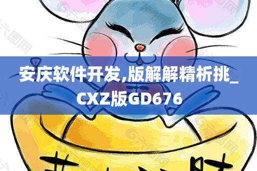 安庆软件开发,版解解精析挑_CXZ版GD676