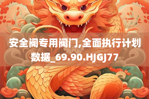 安全阀专用阀门,全面执行计划数据_69.90.HJGJ77