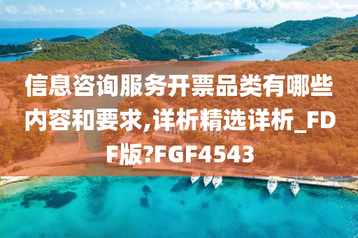 信息咨询服务开票品类有哪些内容和要求,详析精选详析_FDF版?FGF4543