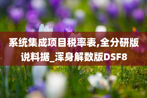系统集成项目税率表,全分研版说料据_浑身解数版DSF8