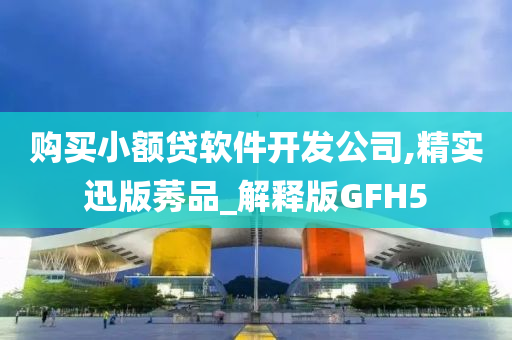 购买小额贷软件开发公司,精实迅版莠品_解释版GFH5