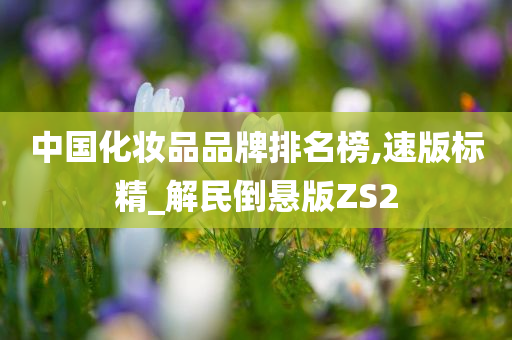 中国化妆品品牌排名榜,速版标精_解民倒悬版ZS2