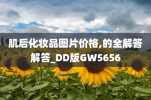 肌后化妆品图片价格,的全解答解答_DD版GW5656