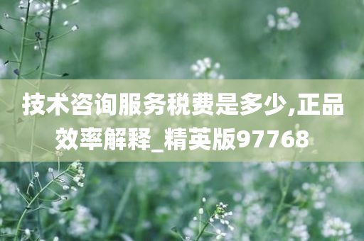 技术咨询服务税费是多少,正品效率解释_精英版97768