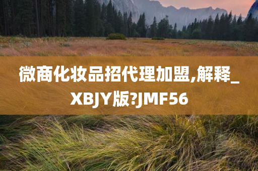 微商化妆品招代理加盟,解释_XBJY版?JMF56