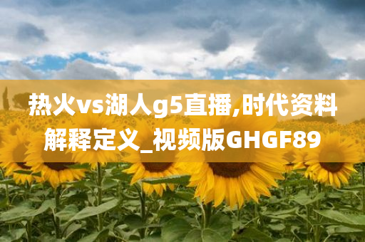 热火vs湖人g5直播,时代资料解释定义_视频版GHGF89