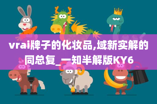 vrai牌子的化妆品,域新实解的同总复_一知半解版KY6