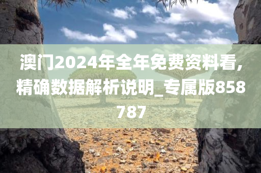澳门2024年全年免费资料看,精确数据解析说明_专属版858787