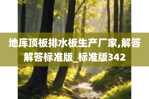 地库顶板排水板生产厂家,解答解答标准版_标准版342