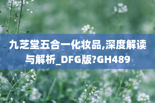 九芝堂五合一化妆品,深度解读与解析_DFG版?GH489