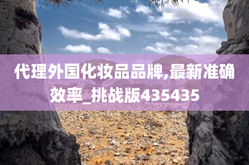 代理外国化妆品品牌,最新准确效率_挑战版435435