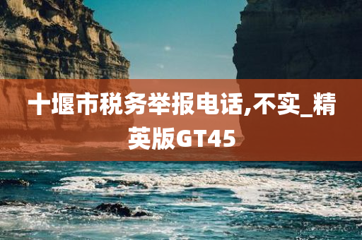 十堰市税务举报电话,不实_精英版GT45