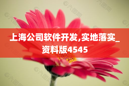 上海公司软件开发,实地落实_资料版4545