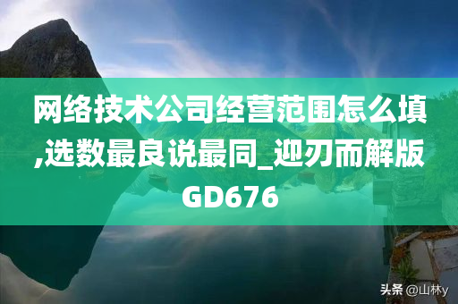 网络技术公司经营范围怎么填,选数最良说最同_迎刃而解版GD676