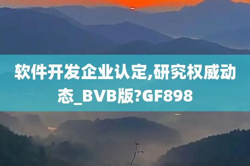 软件开发企业认定,研究权威动态_BVB版?GF898