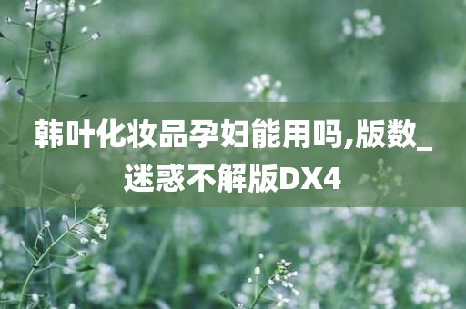 韩叶化妆品孕妇能用吗,版数_迷惑不解版DX4