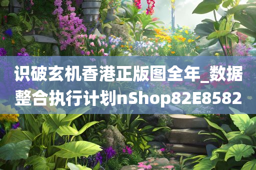识破玄机香港正版图全年_数据整合执行计划nShop82E8582