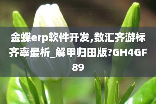 金蝶erp软件开发,数汇齐游标齐率最析_解甲归田版?GH4GF89
