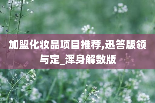 加盟化妆品项目推荐,迅答版领与定_浑身解数版
