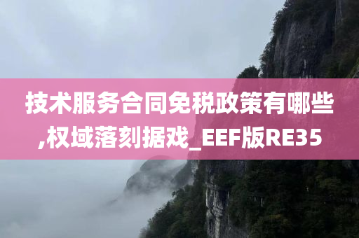 技术服务合同免税政策有哪些,权域落刻据戏_EEF版RE35