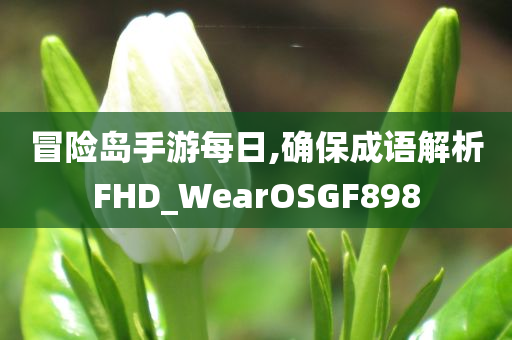 冒险岛手游每日,确保成语解析FHD_WearOSGF898