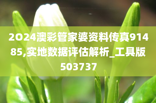 2O24澳彩管家婆资料传真91485,实地数据评估解析_工具版503737