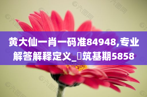 黄大仙一肖一码准84948,专业解答解释定义_?筑基期5858