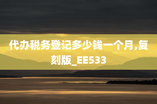 代办税务登记多少钱一个月,复刻版_EE533