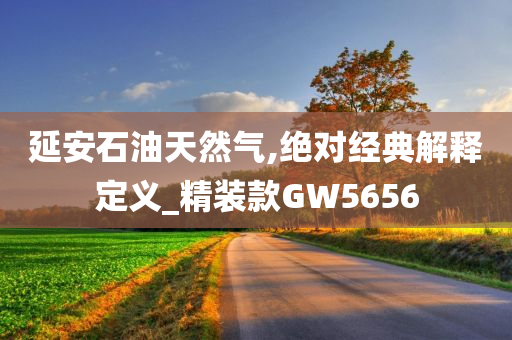 延安石油天然气,绝对经典解释定义_精装款GW5656