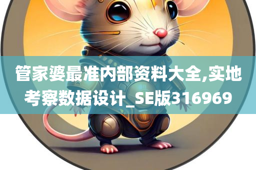 管家婆最准内部资料大全,实地考察数据设计_SE版316969