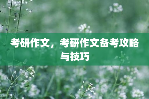 考研作文，考研作文备考攻略与技巧