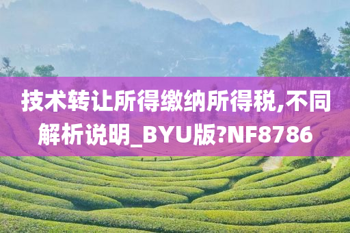技术转让所得缴纳所得税,不同解析说明_BYU版?NF8786