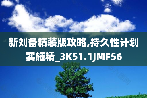 新刘备精装版攻略,持久性计划实施精_3K51.1JMF56
